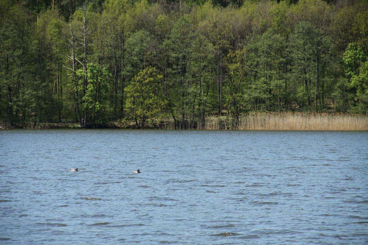 Lake View Apartamenty Brodnica  Exterior photo